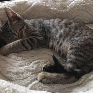 Meet your Posher, Krystal